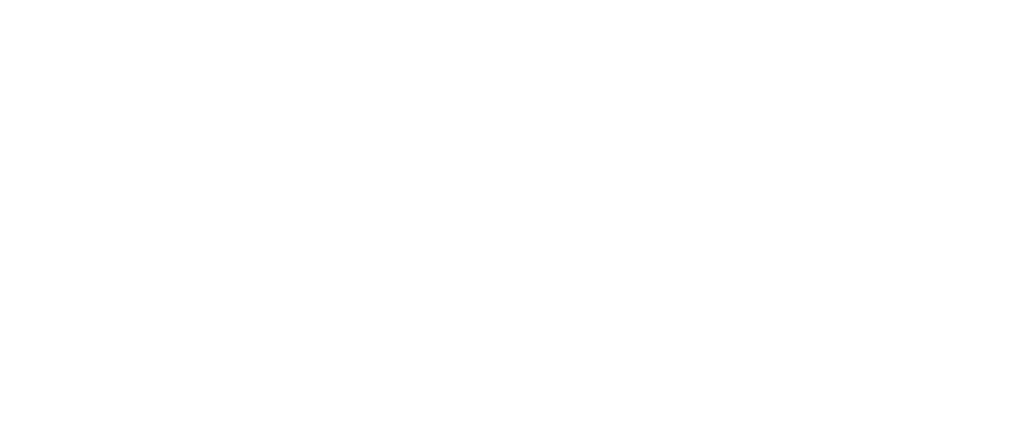 Birreria Leone